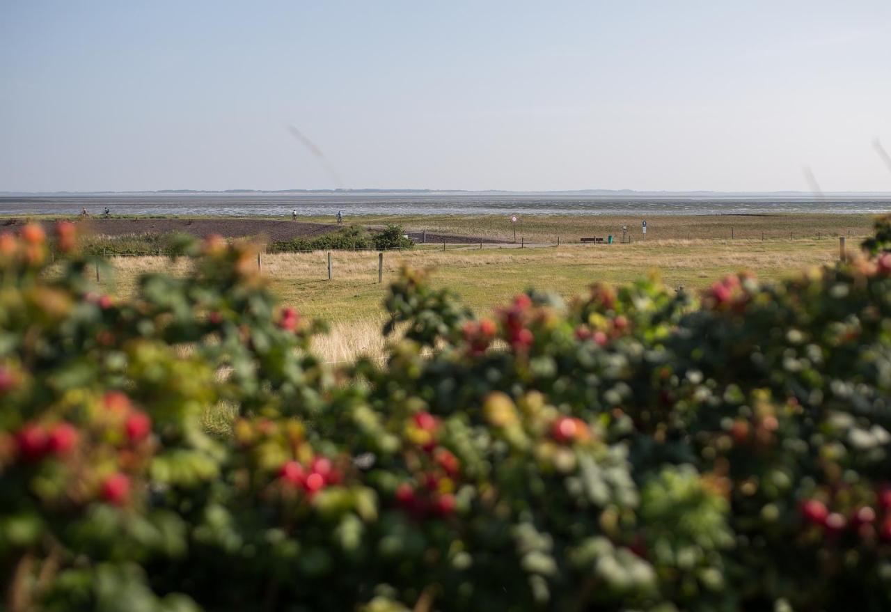 Haus Bräätlun Ferienwohnung Bräätlun 3 Norddorf auf Amrum Exterior foto