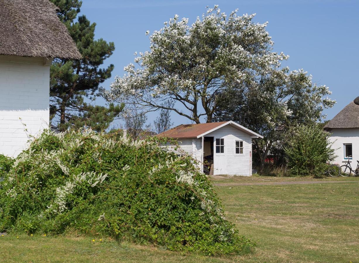 Haus Bräätlun Ferienwohnung Bräätlun 3 Norddorf auf Amrum Exterior foto